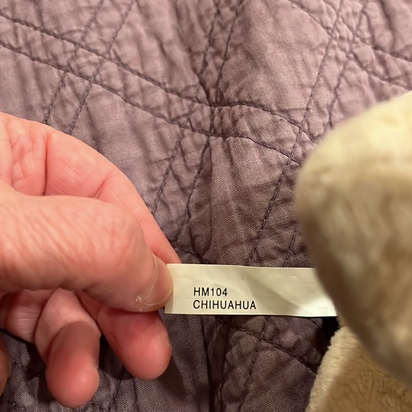 Who can resist this face?! Chihuahua by Webkinz - Picture 6 of 6